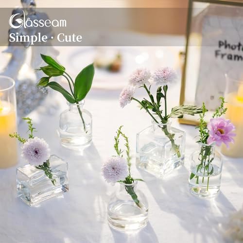 Glasseam Mini Bud Vases for Flowers, 10Pcs Clear Glass Vase for Centerpiece
