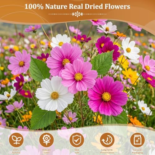 Evatage 180 Pcs Real Dried Pressed Flowers for Resin Crafts