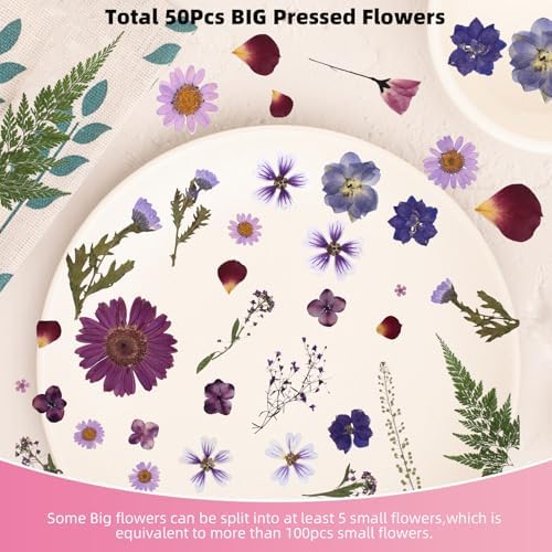 12“ Large Bulk Dried Pressed Flowers for Glass Frame, Real Dry Natural Flower Leaf for Resin Mold, Cake Decor, Holiday Decorations, Phone Cases, Invitations (Purple Haze)