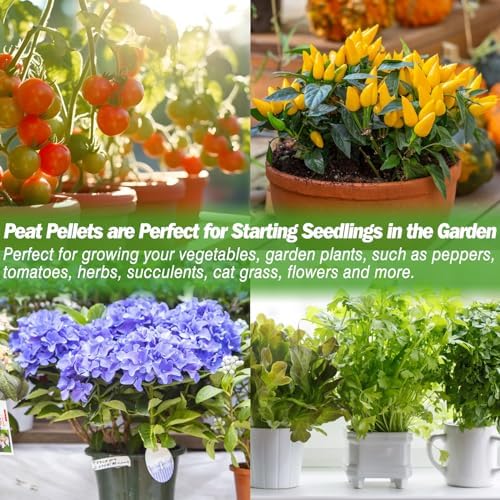ZeeDix Peat Pellets for Seed Starting, 50 Pcs 36mm Seed Starter Soil Pods