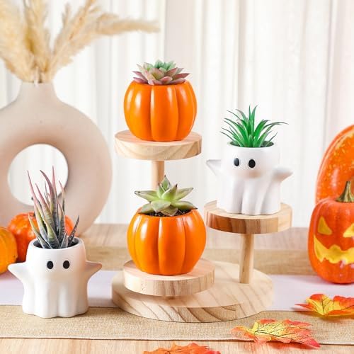 Newtay 4 Pack Halloween Pumpkin Ghost Planter 3 Inch Halloween Succulent Pots Bucket Vase Gifts Resin Small Flower Pots for Home Office Party, Plants Not Included