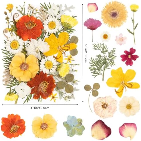 140pcs Dried Pressed Flowers Bulk, Natural Fall Pressed Dried Flowers with Tweezer for DIY Crafts Resin Mold Candles Cake Bridal Scrapbooking Supplies