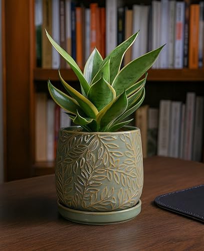 D'vine Dev Embossed Leaves Ceramic Planter, 6 in, Olive, 27-A-X-0