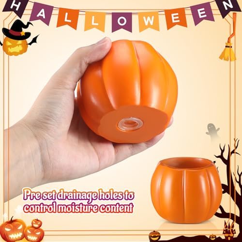 Newtay 4 Pack Halloween Pumpkin Ghost Planter 3 Inch Halloween Succulent Pots Bucket Vase Gifts Resin Small Flower Pots for Home Office Party, Plants Not Included