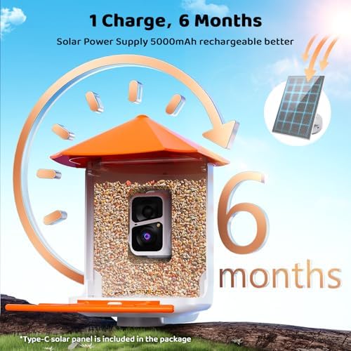 Buenkee Smart Bird Feeder with Camera, 2K HD, AI Bird ID, Solar Powered