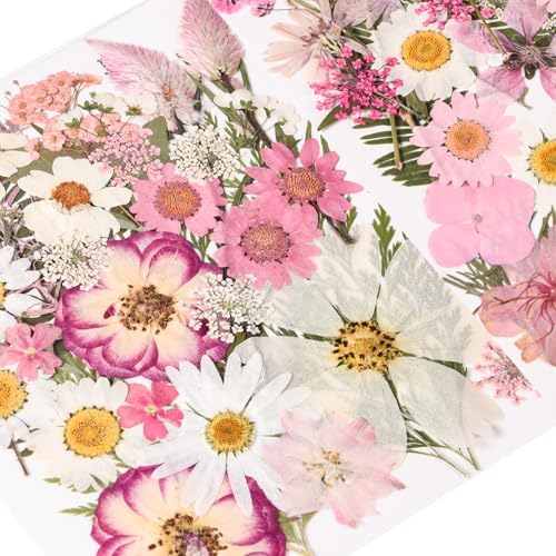 80PCS Pink Pressed Dried Flowers Dry Leaves with Tweezers