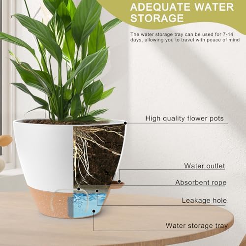 Self Watering Pots for Indoor Plants 12/10/9/8 Inch Plastic with Reservoir