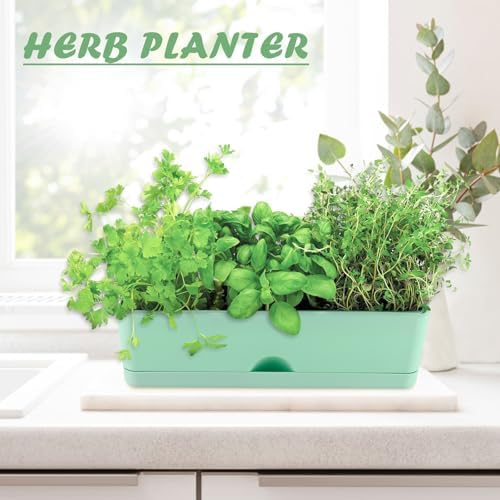 2-Pack Small Window Boxes Planters 16 Inch Rectangle Plant Box Rectangular Planter for Outdoor and Indoor Plants Plastic Windowsill Planter for Herbs Vegetable Flowers Long Window Sill Planters