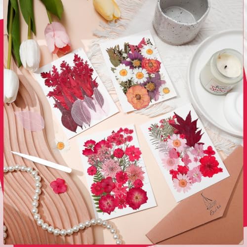 100 Pcs Real Natural Dried Pressed Flowers Pink
