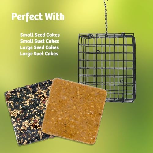 Birds Choice Suet Cage Feeder, Holds 1 Suet Cake | Hanging Bird Suet Feeder for Woodpeckers, Jays, Nuthatches | Vinyl Coated Grids | Sturdy for Garden, Backyard, Outdoor | 4.75" L x 1.625" W x 6" H