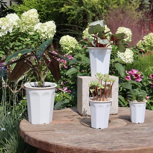 8 Pack 6.10 Inch White Plastic Deep Nursery Pot and Seedling Planter for Succulent, Cutting, Transplanting