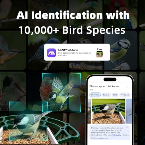 Bird Feeder with Camera Solar Powered, 4MP 2.5K Smart Outdoor Bird House Cam, Free AI Bird Species Identification, Live View & Playback, Instant Alerts, Bird Lovers Gift
