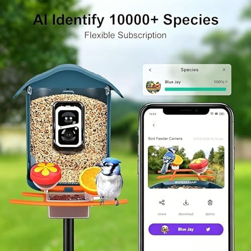 birdsnap® PAV Bird Feeder with Camera Solar Powered 2K Live Video 32GB Card
