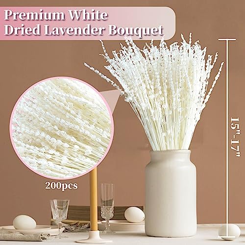 Glicrili Dried Lavender Flowers Real Stems White Bouquet for Vase Decor