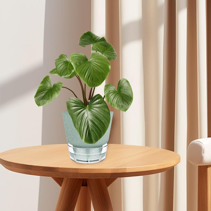 6-Inch Self-Watering Plant Pot with Visual Reservoir and Drainage Hole, Set of 5, Plastic Flower Pots, Planting Pot for