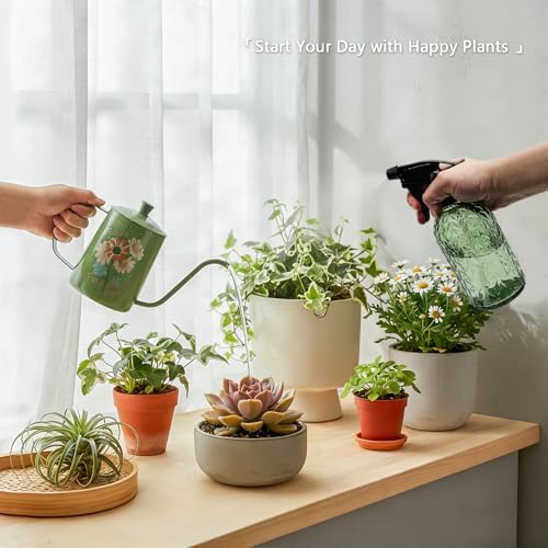 OFFIDIX Watering Can for Indoor Plants, Green Water Can Spray Bottle 2 Pack
