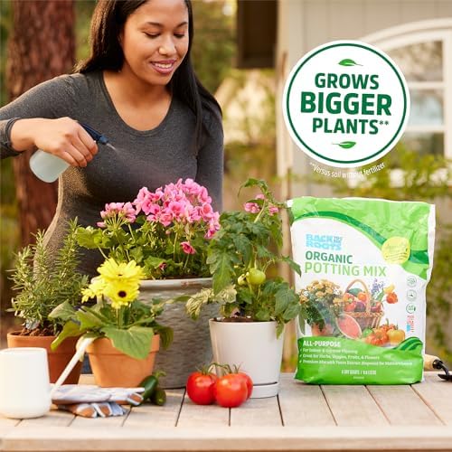 Back to the Roots All-Purpose Potting Mix 6 Quarts (Best Value), 100% Organic & USA Made for Herbs, Veggies, Flowers, w/Nutrient Rich Plant Food, Worm-Castings, & Moisture Controlling Yucca, 2 Packs