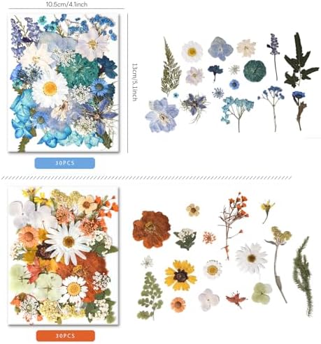 184 PCS Real Pressed Dried Flowers and Leaves for Resin