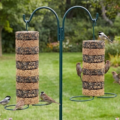 2 Pcs Cylinder Bird Feeder Holder Outdoors Hanging Seed Holder, Dark Green