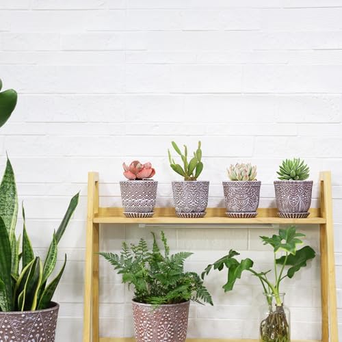 Gepege Ceramic Succulent Pots, 4 Inch Small Plant Pots with Drainage