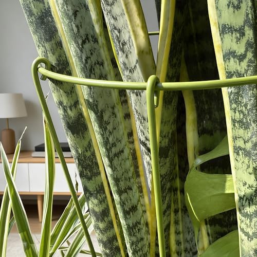 3-Pack Heavy Duty Plant Stakes and Supports for Indoor Outdoor Plants, Metal Support Stakes & Cage Rings, Ideal for Monstera, Peonies, Roses (10" W x 17" H)