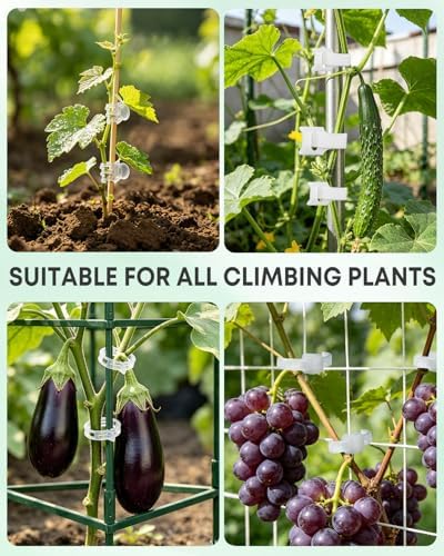 300Pcs Tomato Clips,Transparent Garden Plant Clips,Plastic Trellis Clips for Tomatoes,Cucumbers,Vines, Reusable Plant Support Clips, Gardening Supplies to Grow Upright