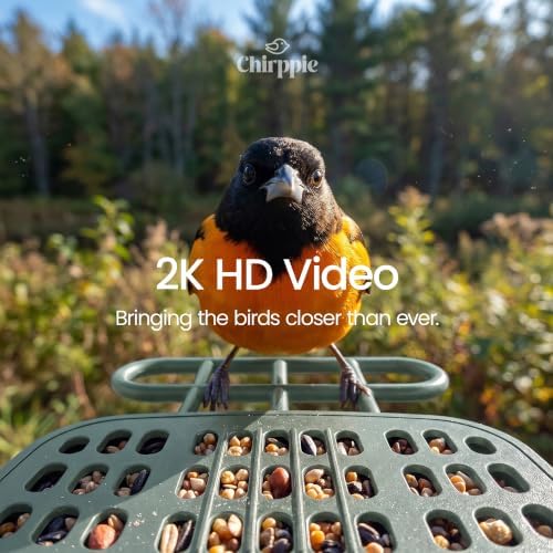 Solar Powered Smart Bird Feeder with Camera — 2K HD Video Bird Feeder with AI Bird Identification, Wireless 2.4 GHz WiFi Outdoor Birdhouse Camera with Live Feed — Gift for Bird Lovers (Green)