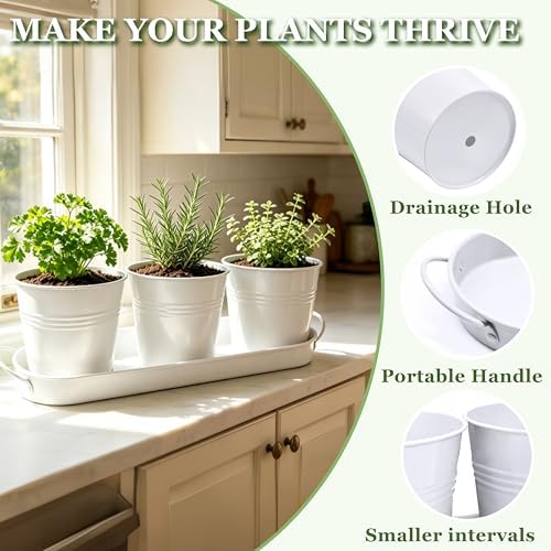 TCBWFY Indoor Herb Garden Planter Set - 3 Pack 4.7" White Metal Plant Pots with Drainage Holes & Removable Tray - Windowsill Kitchen Counter Balcony Office Garden