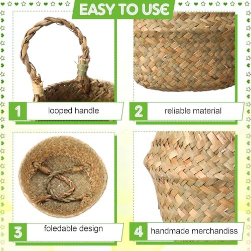 Qunclay 8 Pcs Woven Seagrass Baskets Belly Basket, Xs,7.9''dx6.3''h