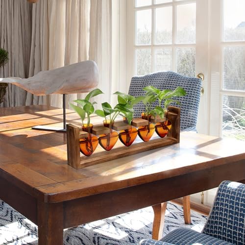 Plant Terrarium Hanging Propagation Stations Gift for Women