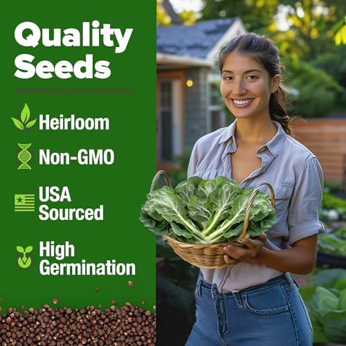 HOME GROWN Vates Collard Green Seeds, 300+ Seeds