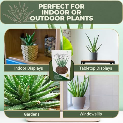 Professional Aloe Plant Soil Mix Large 2.2 Quarts Ready to Use, Premium Potting Soil for Aloe Vera Cactus Succulent Plants, Fast Draining Blend Pinebark Peat Course Sand Indoor Made in USA