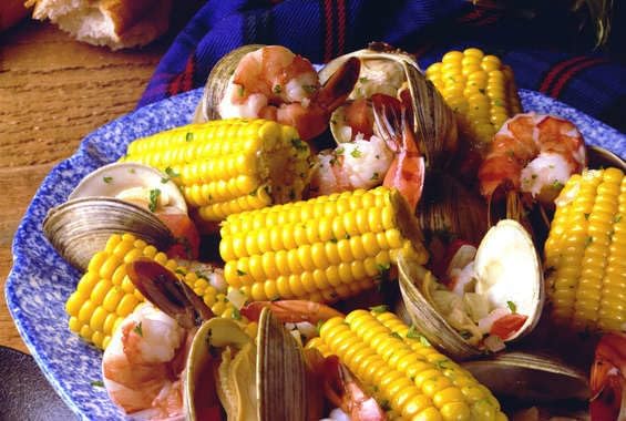 Early Sunglow Sweet Corn Seeds - 1/2 Pound - Treated - for 2026 Planting SU Sugary Hybrid Fast Growing Pole Corns
