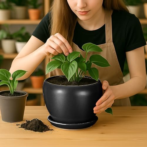 Deep Dream 8 Inch Plant Pot - Ceramic Pots for Plants with Drainage Hole and Trays, Modern Round Flower Pot, Planters for Indoor Outdoor Plants, Home Garden Decor, Black