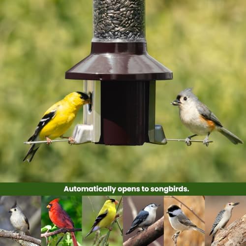 Roamwild PestOff 2.0 Squirrel Proof Bird Feeder – 4lb Hanging Tube