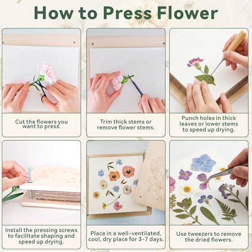 TTUGTTUG Large Flower Press with Frames, 11" x 11" Wooden Flower Press Kit