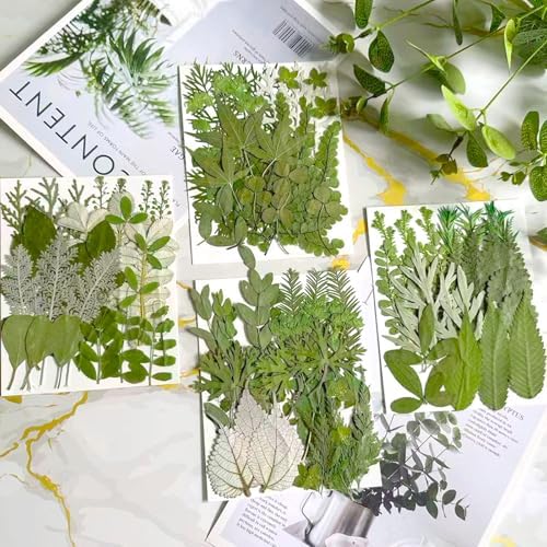 100 Pcs Dried Pressed Flowers Leaves for Resin Molds, Real Natural Bulk Dry Wildflowers Perfect for Epoxy, DIY Crafts, Soap Candles Jewelry Making, and Home Decor
