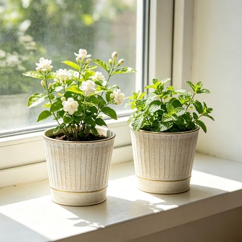 Hosley Metal Planters 7" Dia x 6" H Ideal Farmhouse Decor for Floral Arrangements Weddings, Gift Special Events Parties Outdoor Planters White wash