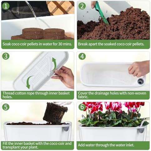 Oliz Self-Watering Planter with Coco Coir, Clear Modern Rectangular Pot