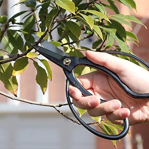 Wazakura 4PCS Bonsai Essential Tool Kit MADE IN JAPAN, Japanese Bonsai Scissors 7inch(180mm) + Concave Branch Cutter