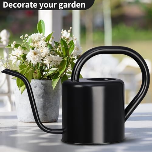 Watering Can, Stainless Steel Watering Can for Indoor & Outdoor Plants, 1L/35oz Long Spout Water Can with Handle, Rust-Proof Plant Watering Pot for House Plants, Garden Flowers