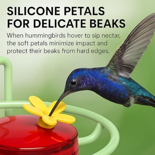 Dreamdrawer 2 Pack Window Hummingbird Feeder, Small Hummingbird Feeder for Outdoors with Strong Suction Cup - Metal Base & 6 Feeding Ports, Easy to Clean and Refill, Green