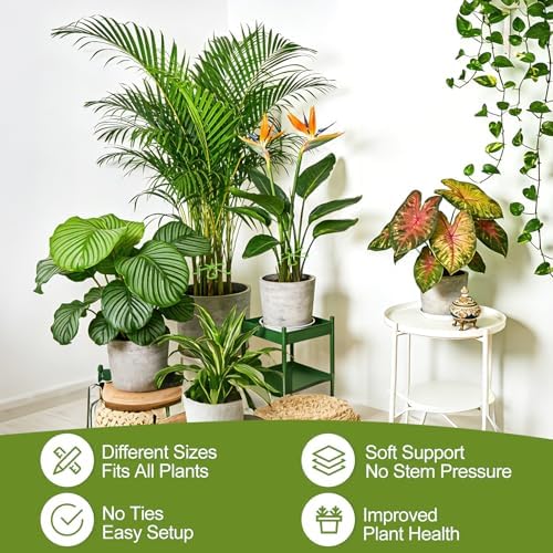 Plant Stem Support, 40PCS Plant Support for Indoor Plants