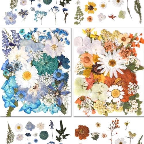 184 PCS Real Pressed Dried Flowers and Leaves for Resin
