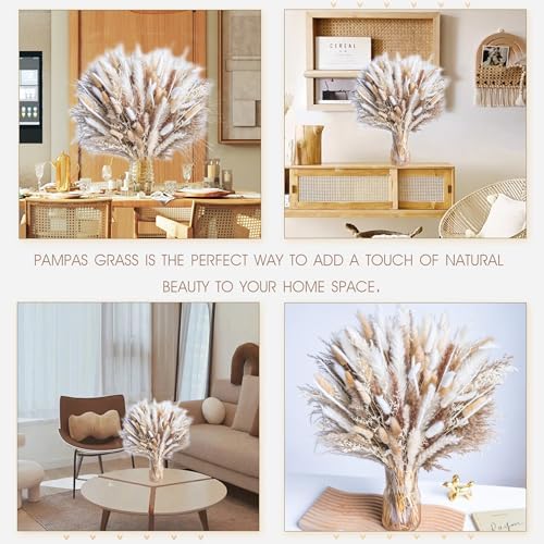 300PCS Natural Dried Pampas Grass Boho Home Decor Bouquet Phragmites Dried Flowers Bouquet for Wedding Floral Arrangements Home Decorations (300PCS)
