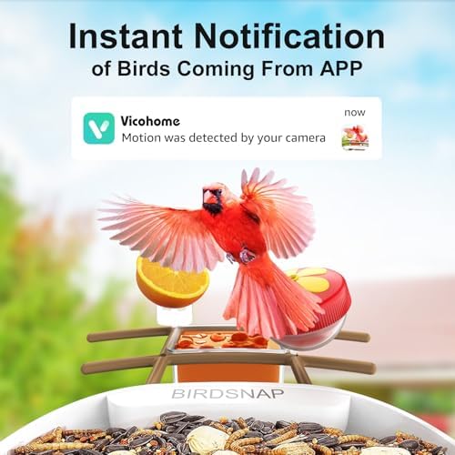birdsnap® PAV Bird Feeder with Camera Solar Powered 2K Live Video 64GB Card