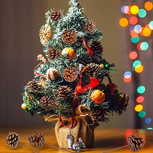 Whaline Christmas Natural Pine Cones 12 Pieces Pinecone Picks Christmas Tree Ornament Holiday Centerpiece for Xmas Tree Garland Wreath Home Party Decor Supplies, 1.8 Inch