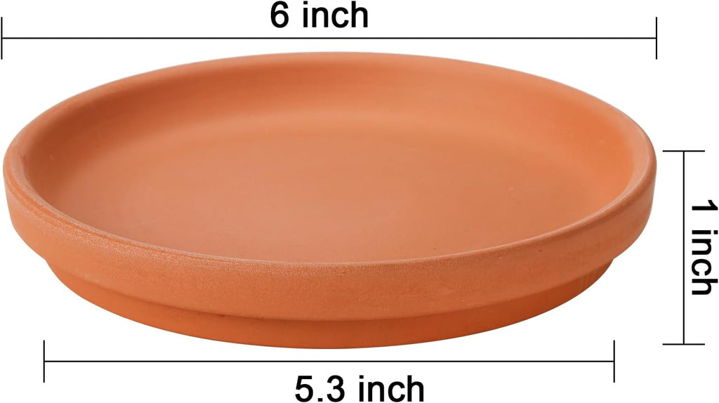 10 Pack Terracotta Pot Plant Saucer, 6 Inch Round Terra Cotta Planter Saucers for 5 Inch 5.5 Inch 6 Inch Flower Pot