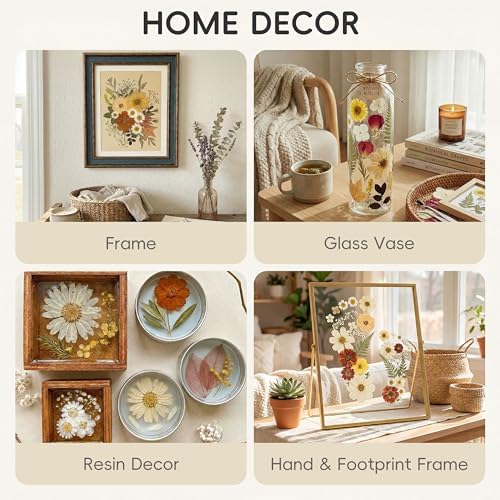 LUXEEASE 100P Vintage Cream Brown Dried Pressed Flowers