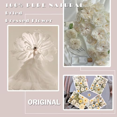 MIKIYA 90Pcs White Dried Pressed Flowers for Resin Molds, Real Natural Bulk Dry Floral Leaves for DIY Art Crafts, Epoxy Jewelry, Candle, Soap Making, Nails Decors Gifts